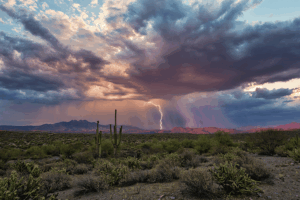 monsoon season